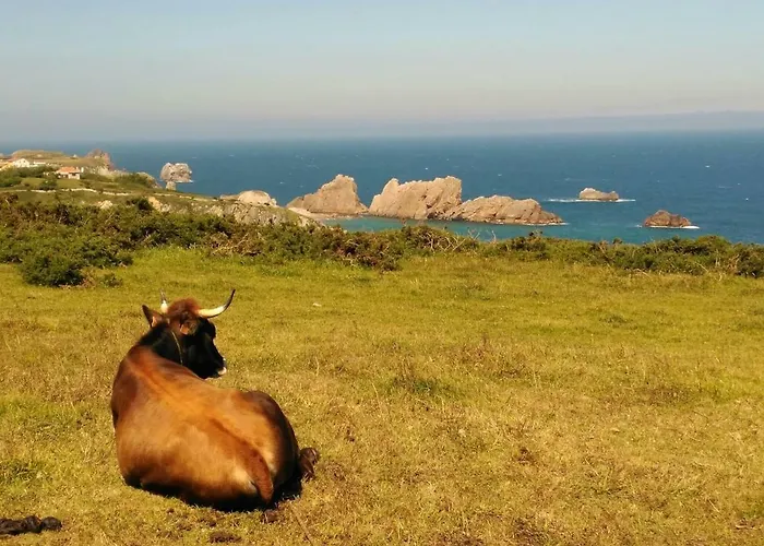 Appartement La Tudanca De Casasola Sin Sorpresas, Oficial, Comillas 5 Min *